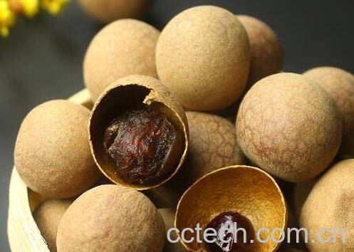 桂圆干怎么吃 桂圆干的吃法技巧-1