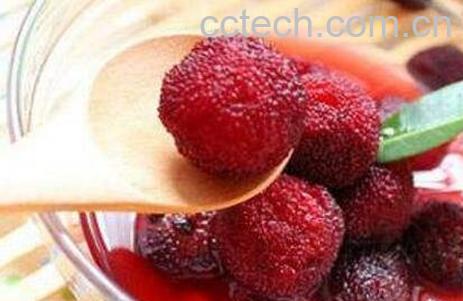 煮杨梅的功效与作用 杨梅怎么煮好吃-1