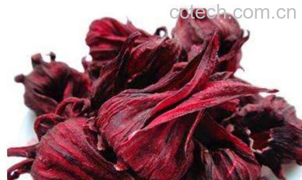 玫瑰茄的功效与作用 玫瑰茄的副作用-0