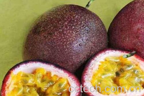 孕妇可以吃百香果吗 孕妇吃百香果的好处和坏处-1