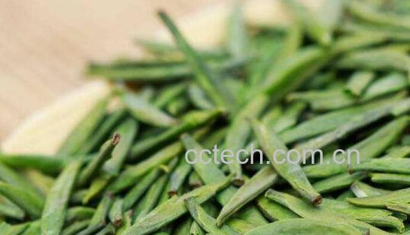 雀舌和毛尖的区别 毛尖和雀舌有什么不同-0