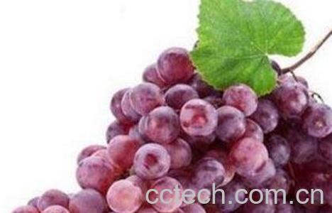 葡萄皮的功效与作用-0