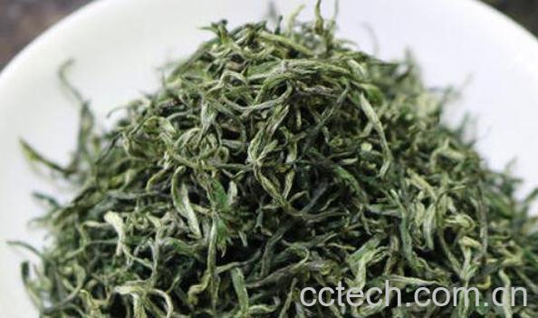 雀舌和毛尖的区别 毛尖和雀舌有什么不同-1