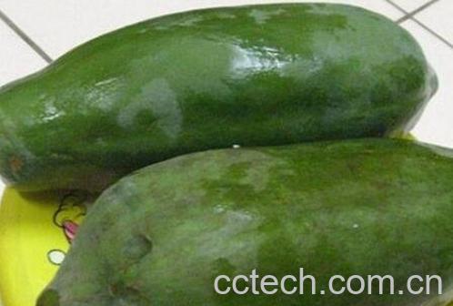 青木瓜怎么吃 青木瓜的吃法技巧-0