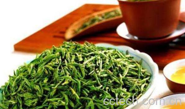 茶多酚的功效与作用 茶多酚的副作用-1