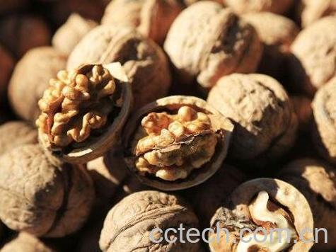 吃核桃有什么好处 吃核桃的功效-1