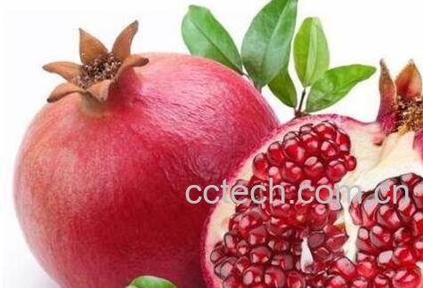 吃石榴有什么好处 吃石榴的功效与作用-1