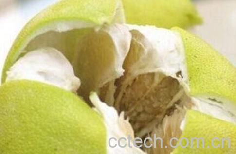 柚子皮有哪些功效与作用-0