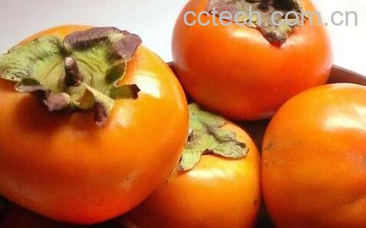 吃柿子有什么好处 吃柿子的功效与作用-0