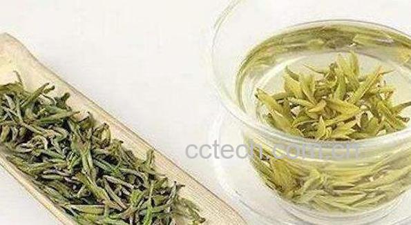黄芽茶属于什么茶 黄芽茶的功效与作用-0