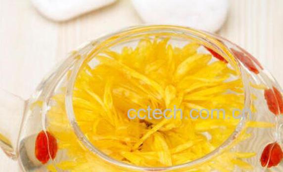 金丝皇菊的功效与作用 喝金丝皇菊的好处-1