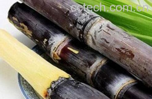 甘蔗有哪些作用与功效-1