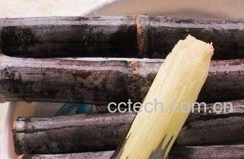 甘蔗有哪些作用与功效-0