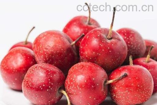 山楂有哪些功效与作用-1