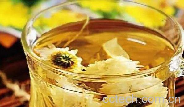 人参茶怎么泡 人参和什么一起泡茶喝-1