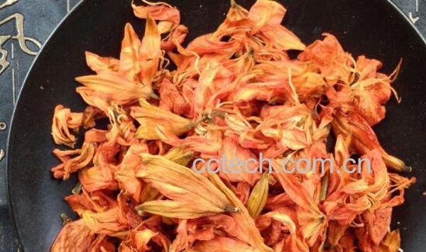 干百合花如何泡水喝 干百合花泡水喝的功效-1