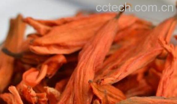 干百合花如何泡水喝 干百合花泡水喝的功效-0