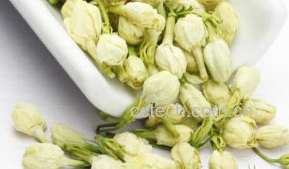 茉利花茶的功效与作用及冲泡方法-1