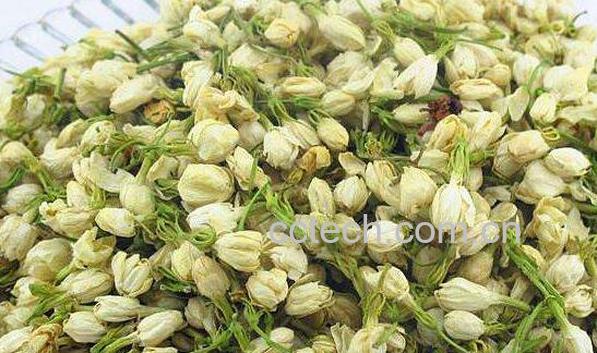 茉利花茶的功效与作用及冲泡方法-0