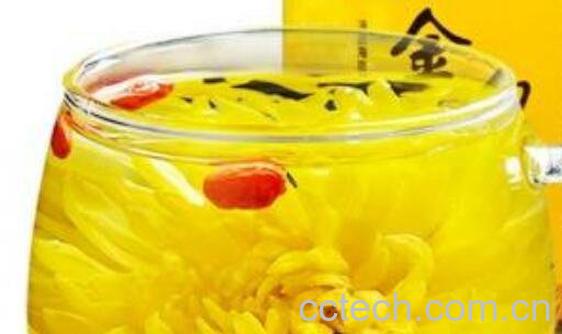 哪些人不能喝金丝皇菊 金丝皇菊的副作用与禁忌-0