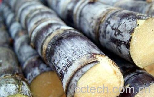 什么水果补血效果最好 补血的水果之王-1