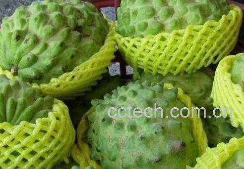 释迦果的功效有哪些 释迦果的食用禁忌-0