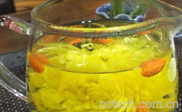 皇菊花茶的功效与作用-1