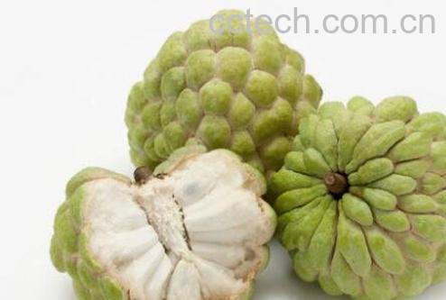 释迦果的功效有哪些 释迦果的食用禁忌-1