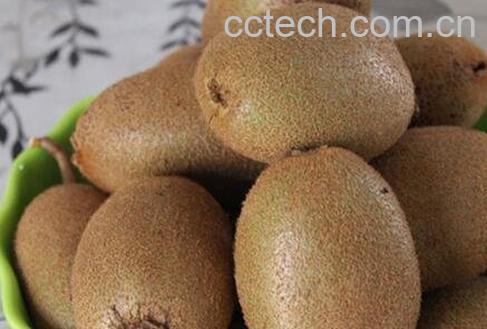 猕猴桃有哪些功效与作用-0