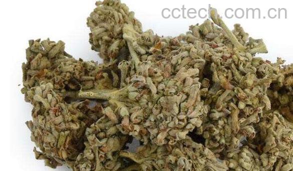 密蒙花茶功效与作用 密蒙花的副作用-0