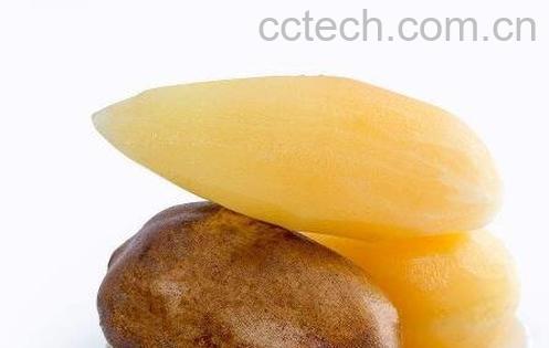 雪莲果有哪些功效与作用-0