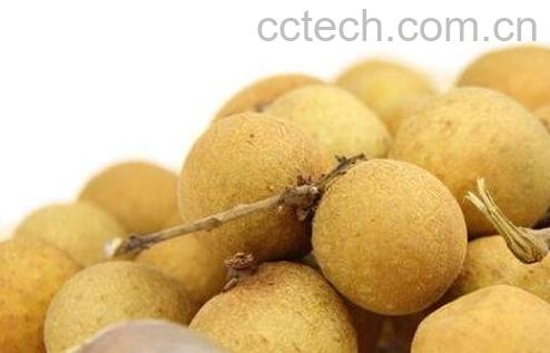 桂圆有哪些功效与作用-1