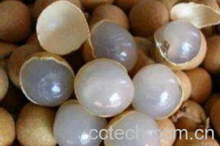 桂圆有哪些功效与作用-0