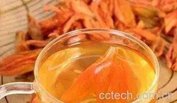 百合花茶不适合什么人喝 百合花茶的副作用与禁忌-1