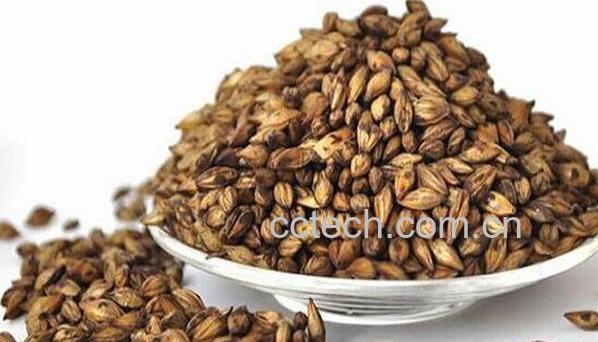 大麦茶的功效与作用 大麦茶有减肥功效吗-0