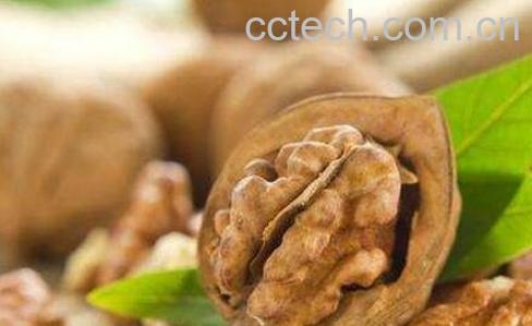 核桃有哪些功效与作用-1