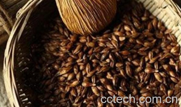 大麦茶的功效与作用 大麦茶有减肥功效吗-1