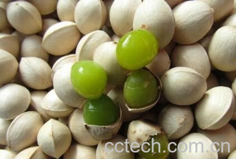 银杏果怎么吃 银杏果的食用方法-1