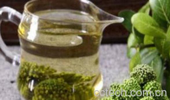 田七花茶的功效与作用及冲泡方法-1