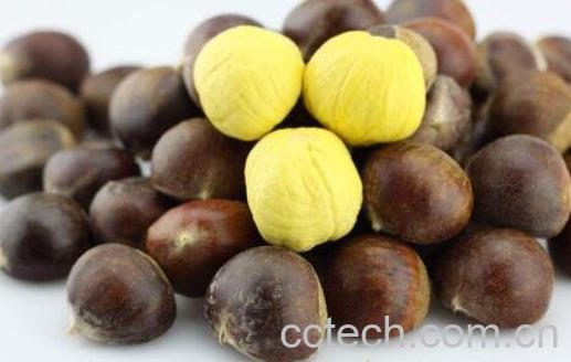 生板栗怎么去皮最快 生板栗的营养价值-0