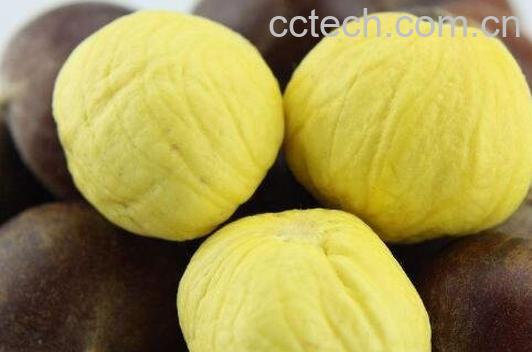 生板栗怎么去皮最快 生板栗的营养价值-1