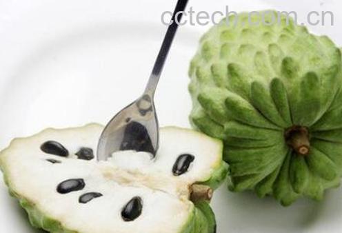 释迦果怎么吃好 释迦果的正确吃法-0