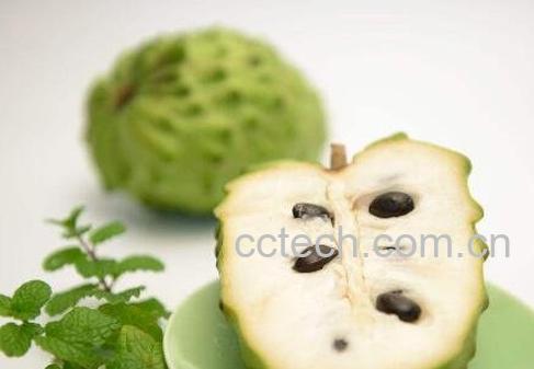 释迦果怎么吃好 释迦果的正确吃法-1