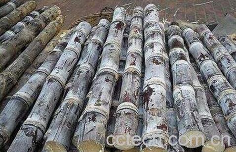 黑皮甘蔗的功效与作用-0