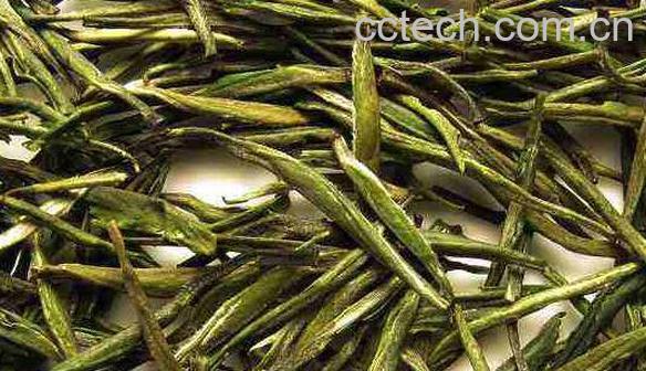 安化松针的特点 安化松针的泡法-1