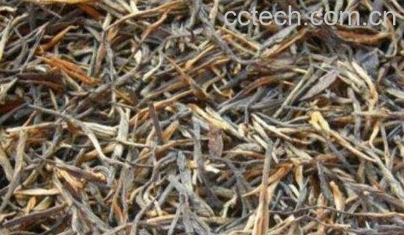 滇红松针如何喝 滇红松针的泡法-1