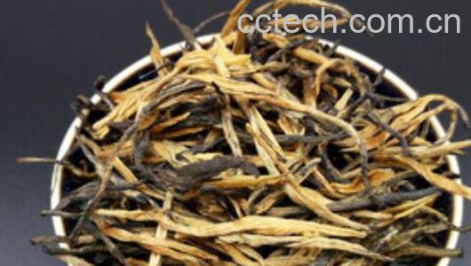 滇红松针如何喝 滇红松针的泡法-0