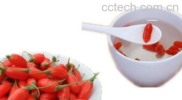 枸杞茶怎么泡 枸杞茶的正确泡法教程-0