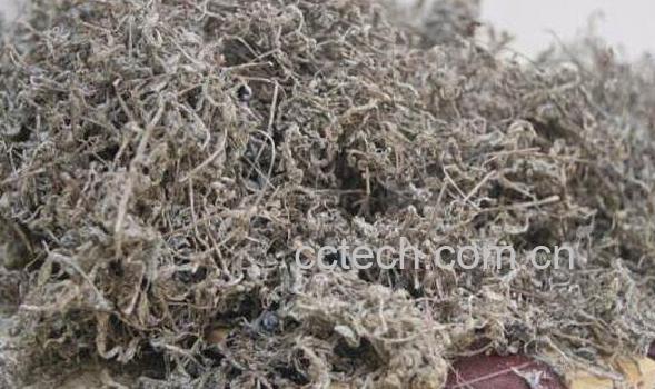 莓茶的副作用 莓茶什么人不适合喝-0