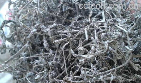 莓茶的副作用 莓茶什么人不适合喝-1